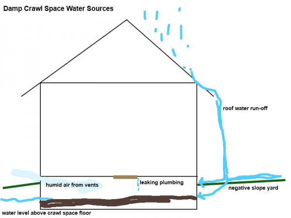 Water sources that can lead to a damp, musty crawl space.